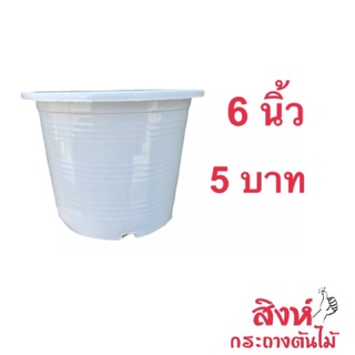 กระถางพลาสติก 6 นิ้ว สีขาว สีอิฐ สีใส
