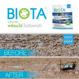 จุลินทรีย์ BIOTA ขนาด 1 กิโลกรัม สำหรับปรับสภาพน้ำ