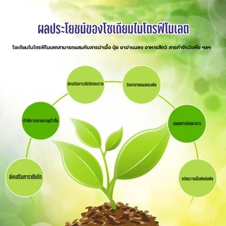 สารประกอบไนโตรเจน โซเดียมไนโตรฟีนอล ผงดั้งเดิม 98% ตัวแทนการฟื้นคืนชีพของเซลล์ ปุ๋ยการเจริญเติบโตของพืช Synergist ปุ๋ยทา