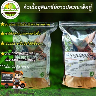 หัวเชื้อจุลินทรีย์จาวปลวกแท้100% ส่งฟรี แบบแพ็คคู่