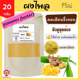 ผงไพล ลดเลือนริ้วรอย 100% ขนาด 20 กรัม สมุนไพร ขัดผิว สครับผิว ผิวกระจ่างใส Plai Powder ไพล ไพลผง