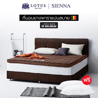 LOTUS ที่นอนยางพาราแน่นสบาย รุ่น Sienna หนา 4 นิ้ว Latex Made in Belgium ~ฟรีหมอนหนุนใยสังเคราะห์ ส่งฟรี