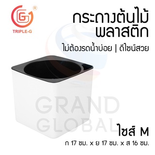 Triple-G กระถางต้นไม้ กระถางปลูกผัก กระถางพลาสติก กระถาง เก็บน้ำได้ รดน้ำอัตโนมัติ ไม่ต้องรดน้ำ ทรงเหลี่ยม ขนาด 6.5 นิ้ว