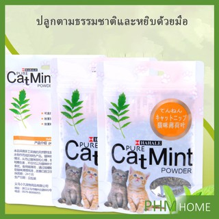 ผงแคทนิป &amp; ผงมาทาทาบิ ซองซิบ "พลาสติก"  ของแท้ 100% โรยของเล่นแมว 5g (พร้อมส่ง) Catnip