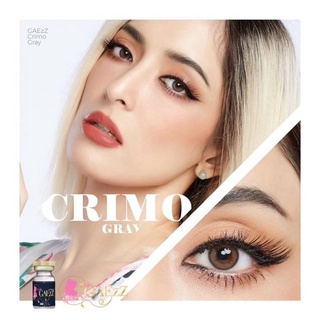 crimo (primo) gray brown คอนแทคเลนส์