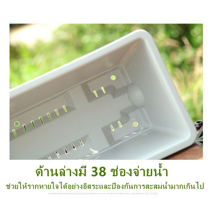 รูปภาพ 5