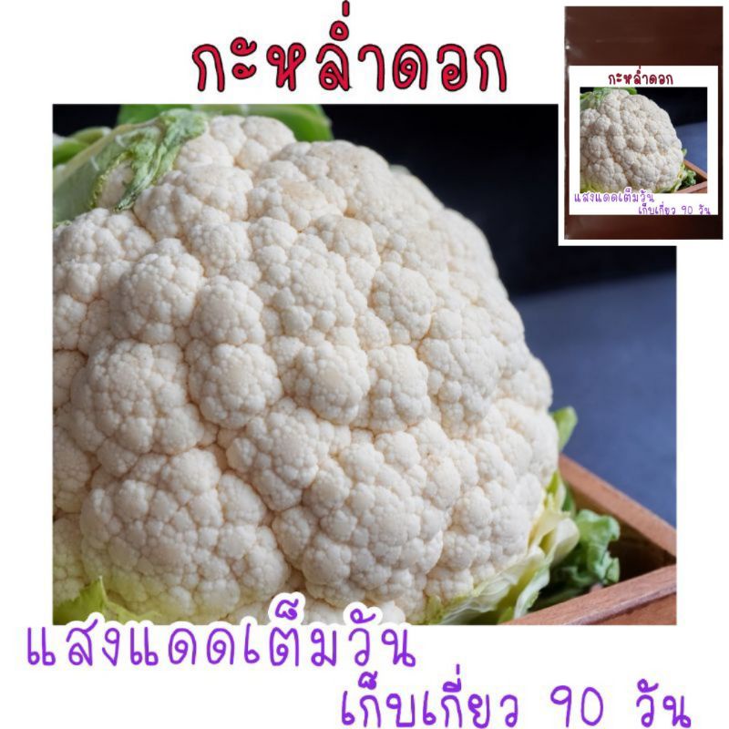 ดอกใหญ่จริง!! 50 เมล็ด เมล็ด​พันธุ์​ กะหล่ำดอก​ Cauliflower​ เมล็ดพันธุ์คุณภาพ