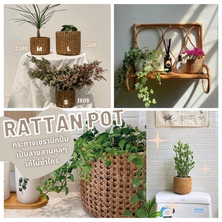 Rattan Pot กระถางเซรามิกปั้นเป็นลายสานคูลๆ เก๋ไม่ซ้ำใคร😎