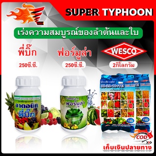 สินค้าชุด เร่งความสมบูรณ์ของลำต้นและใบ พี่บิ๊ก 250 มล.(ฮอร์โมน)+ ฟอร์มูล่า 250 มล.(สารจับใบ)+WESCO ปุ๋ย 30-20-10 2กก.