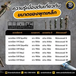 พุกเหล็ก (ราคา/กล่อง) คุณภาพดี ราคาประหยัด