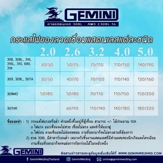 GEMINI ลวดเชื่อมสแตนเลส 308L 2.0 x 300 มม. 1 หลอด 1 กิโลกรัม