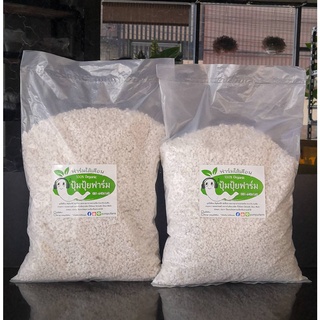 เพอไลท์ 900 กรัม (ประมาณ10 ลิตร) perlite amity green วัสดุปลูก ดินปลูก