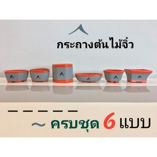 💢กระถางต้นไม้ จิ๋วรวม6ใบ 🌵🌸
