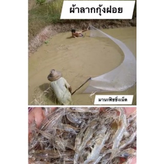 ผ้าลากกุ้งฝอย มีขนาด 4-8 เมตรให้เลือก