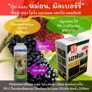 ปุ๋ยน้ำสำหรับหม่อน ปุ๋ยน้ำฉีดพ่นมัลเบอร์รี่ ปลูกเยอะใช้ FK-1 ปลูกน้อยใช้ FKธรรมชาตินิยม