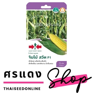 GGEW หมดอายุ 1/70 เมล็ดพันธุ์ ข้าวโพดหวานจัมโบ้สวีท 70 เมล็ด ตราศรแดง Corn
