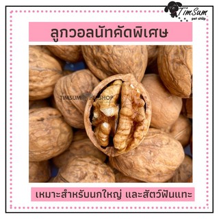 วอลนัท Walnuts ถั่ววอนัท อบแห้งสำหรับสัตว์เลี้ยง นก หนู กระต่าย กระรอก