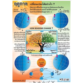 ฤดูกาล EQ-273  โปสเตอร์ภาพ กระดาษหุ้มพลาสติก ขนาด 50*70cm