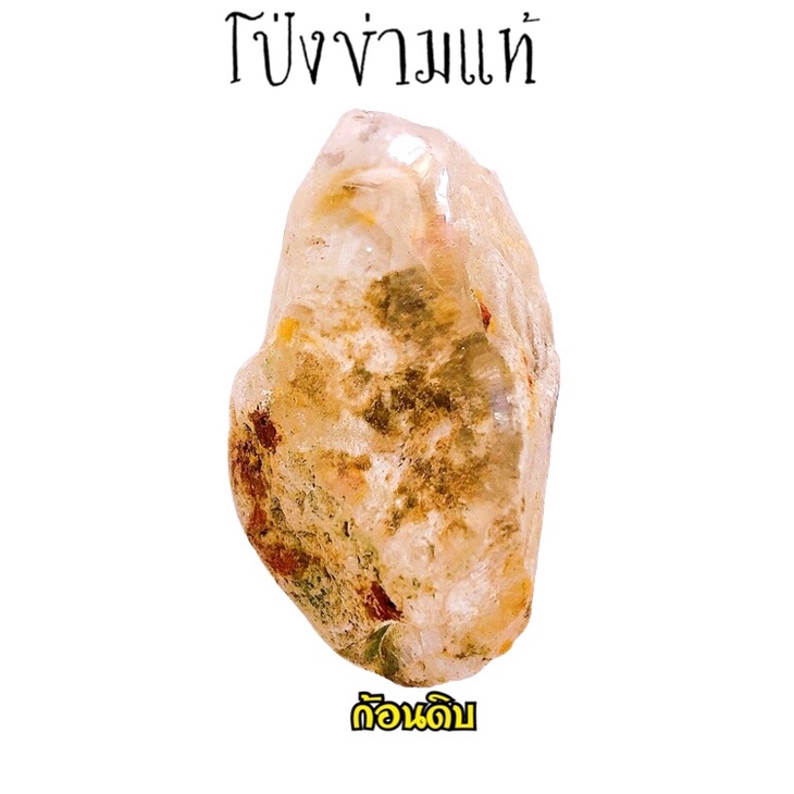 Pong Khan แก้วโป่งข่าม เลือกเจ้าของ โป่งข่ามแท้