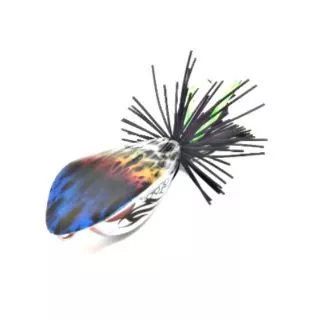กบกระโดด (กบคิ้ว) 4.5 ซม.