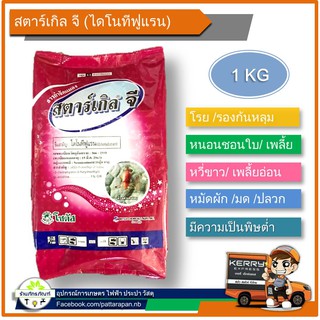 (1KG)สตาร์เกิลจี สารกำจัดแมลงชนิดเม็ด สำหรับรองก้นหลุมหรือโรยรอบโคนต้น  ป้องกันกำจัดแมลงบนดิน และใต้ดินได้หลายชนิด