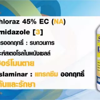 ยากำจัดเชื้อรา แอนแทรคโนส กุ้งแห้งพริก เจอราจ ขนาด500 cc. และ100 cc.