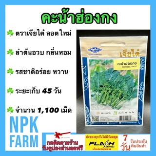 ผักซอง เจียไต๋ คะน้าฮ่องกง จำนวน 1,100 เมล็ด/ซอง เมล็ดพันธุ์ ลอตใหม่ งอกดี ลำต้นอวบ กลิ่นหอม รสชาติอร่อย หวาน
