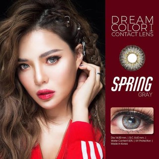 Spring gray พร้อมส่งค่าสายตา (dreamcolor1)