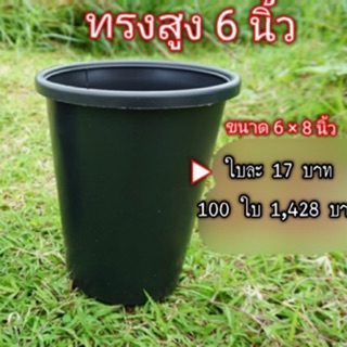 ขาย 100 ใบ กระถางทรงสูง 6 นิ้ว