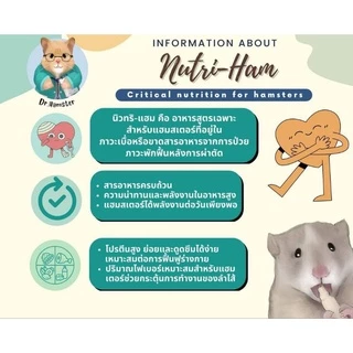 Hamu ♥️ 💯 รวมอาหารเสริมแฮมสเตอร์ Nurition powder อาหารเสริมโภชนาการ Nutriham,Tafit,Dkjessi,Guaijuan ให้พลังงานสูง