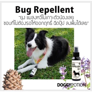 Doggy Potion Bug Repellent Spray 100ml