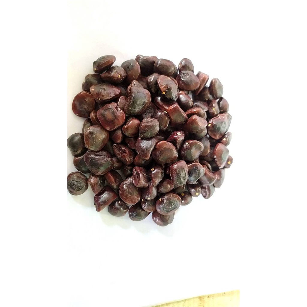 เมล็ดมะขาม 100 กรัม 150 เม็ด 12 บาท เมล็ดปลูกได้ ทำกาแฟคั่วได้