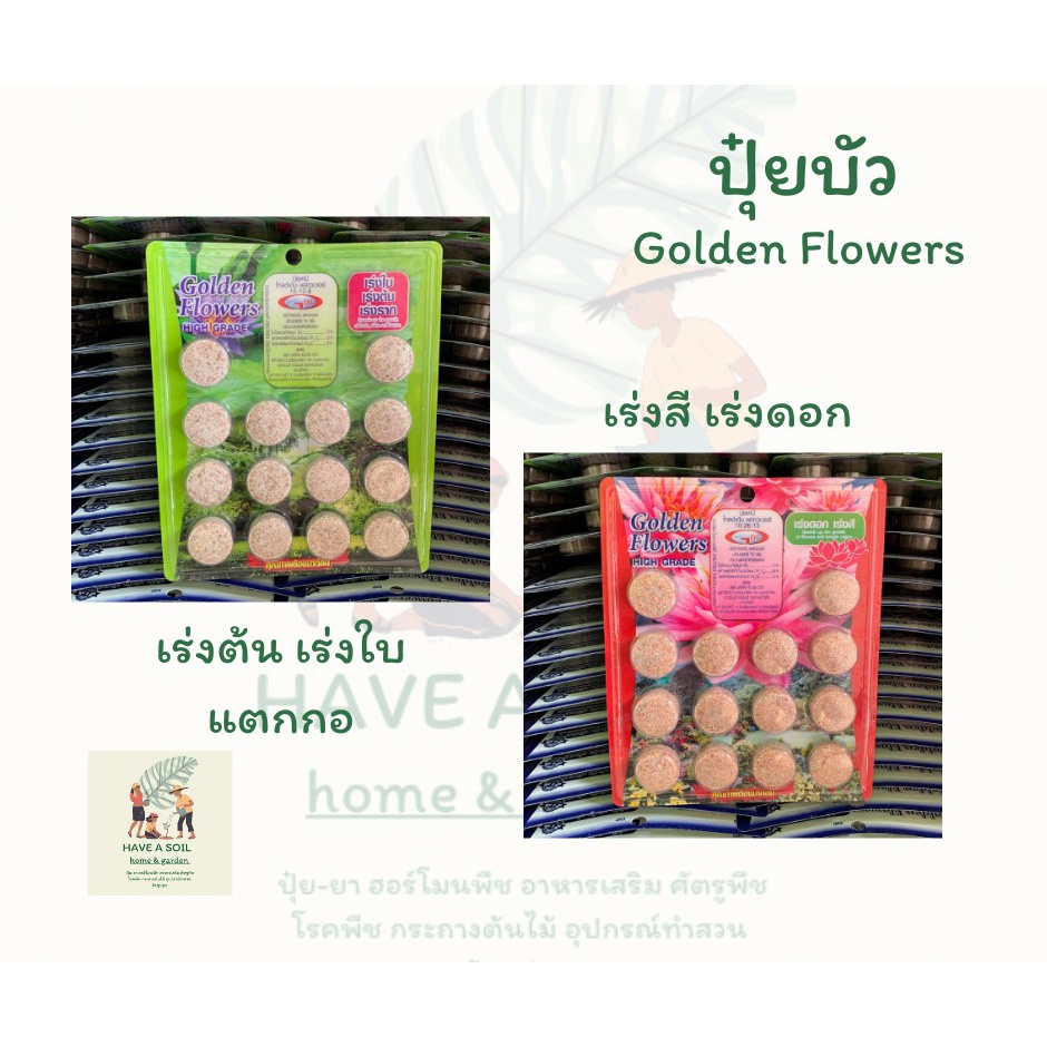 ปุ๋ยบัว Golden Flower สูตรเร่งต้น/ สูตรเร่งดอก (14 เม็ด)