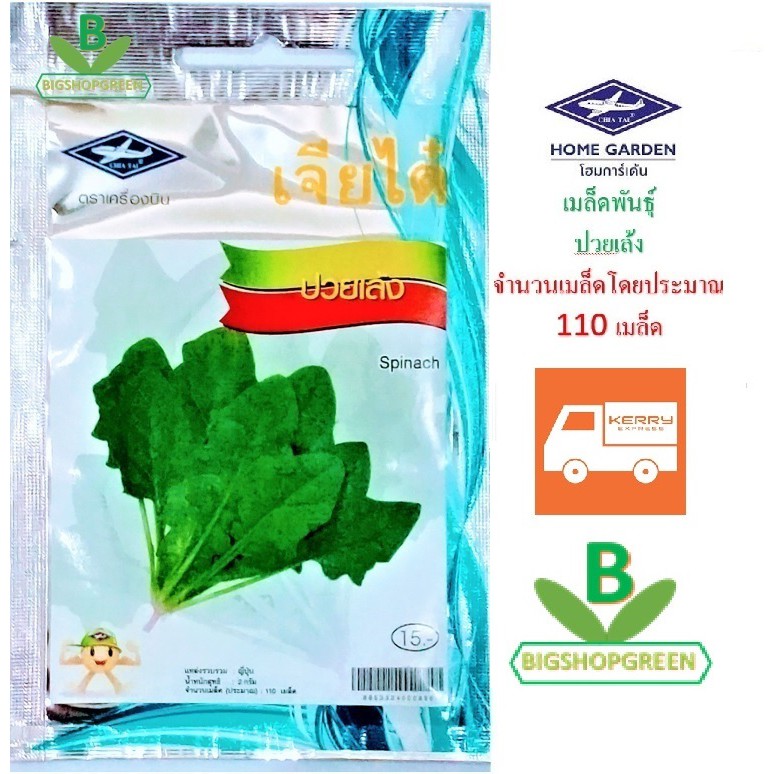5 ฟรี 1 คละได้ เมล็ดพันธุ์ ปวยเล้ง เจียไต๋ เมล็ดผัก เมล็ดพันธุ์ผัก เมล็ดพันธุ์พืช เมล็ดพืช