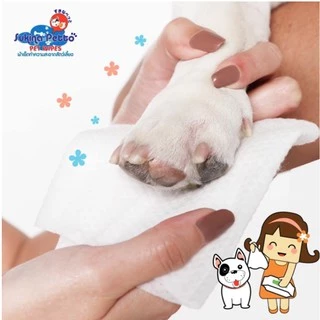 Sukina Petto Pet Wipes ทิชชู่เปียก ผ้าเปียกสำหรับสัตว์เลี้ยง ไซส์ 22x22cm ห่อใหญ่บรรจุ 20-70 แผ่น
