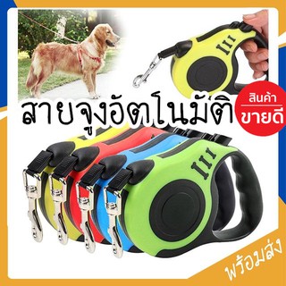 ราคาMITI4 พร้อมส่ง สายจูง เชือกจูง สายจูงสุนัข สายจูงแมว สายจูงสัตว์เลี้ยง ยาว 5 เมตร ปรับยืดหดได้ มีระบบเบรคอัตโนมัติ ST071