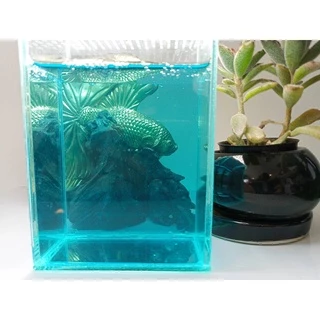 GOLDENBETTA Blue Tannic สารเสริมประสิทธิภาพน้ำ สูตรน้ำสีฟ้า (150 cc)
