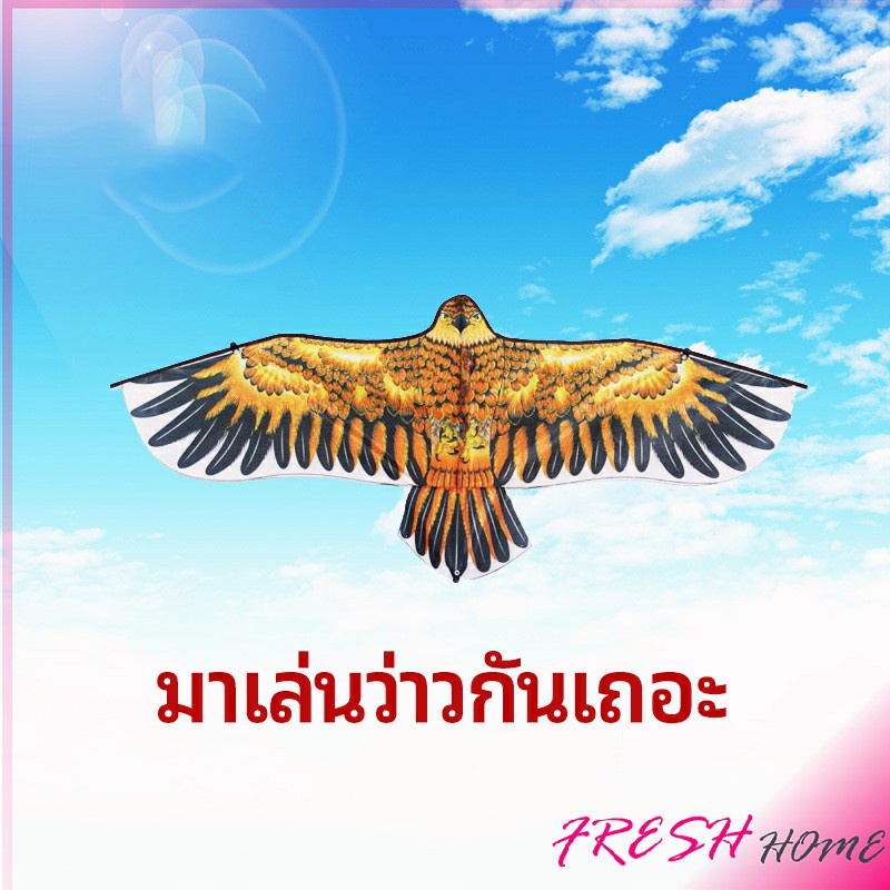 ว่าว นกอินทรีย์ ว่าวไล่นก ว่าวไล่ ศัตรูพืชว่าวเด็ก อุปกรณ์ว่าว kite