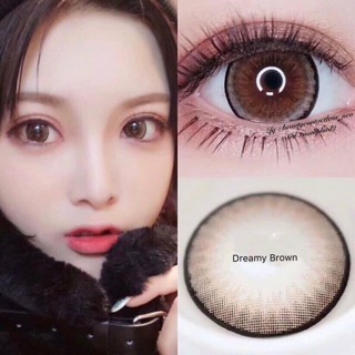 Dreamy Brown (1)(2) mini Dreamy Brown คอนแทคเลนส์ บิ๊กอาย สีน้ำตาล Kitty Kawaii Contact Lens Bigeyes Monday ค่าสายตา