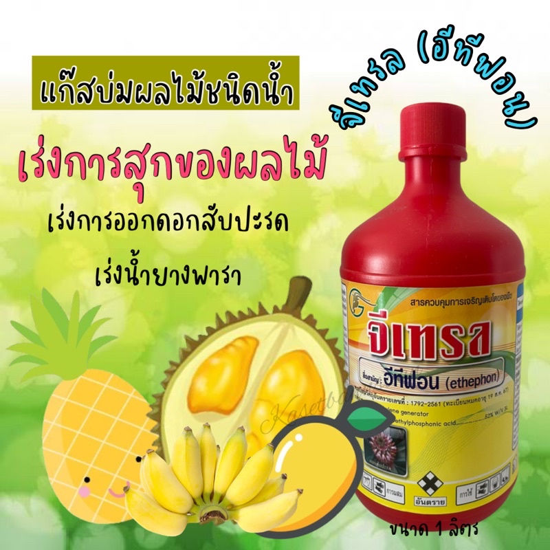 จีเทรล อีทีฟอน แก๊สน้ำบ่มผลไม้ จีเทรล52% เร่งการสุกของมะม่วง ทุเรียน กล้วย