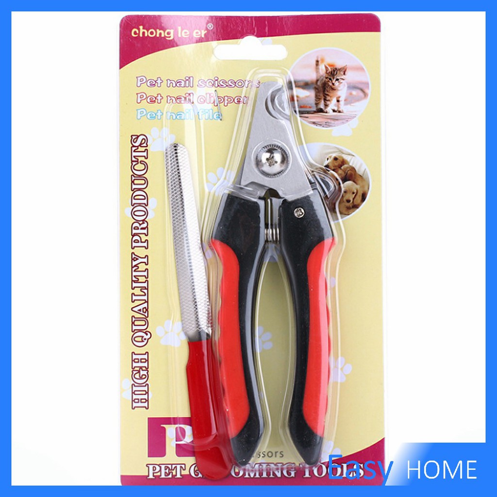 รูปภาพ 4