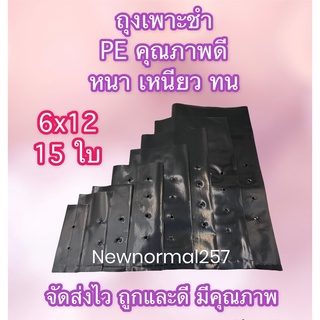 ถุงเพาะชำสีดำ ถุงปลูกต้นไม้ ขนาด 6x12 นิ้ว 15 ใบ