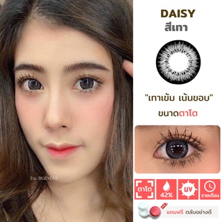 ไม่แถมตลับ Daisy Gray (ตาโต) คอนแทคเลนส์ Wink