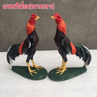 ไก่ชนเกรดพรีเมียม(กลาง) ไก่ถวายไอ้ไข่ ไก่แก้บน ไก่ชน ไก่ถวาย