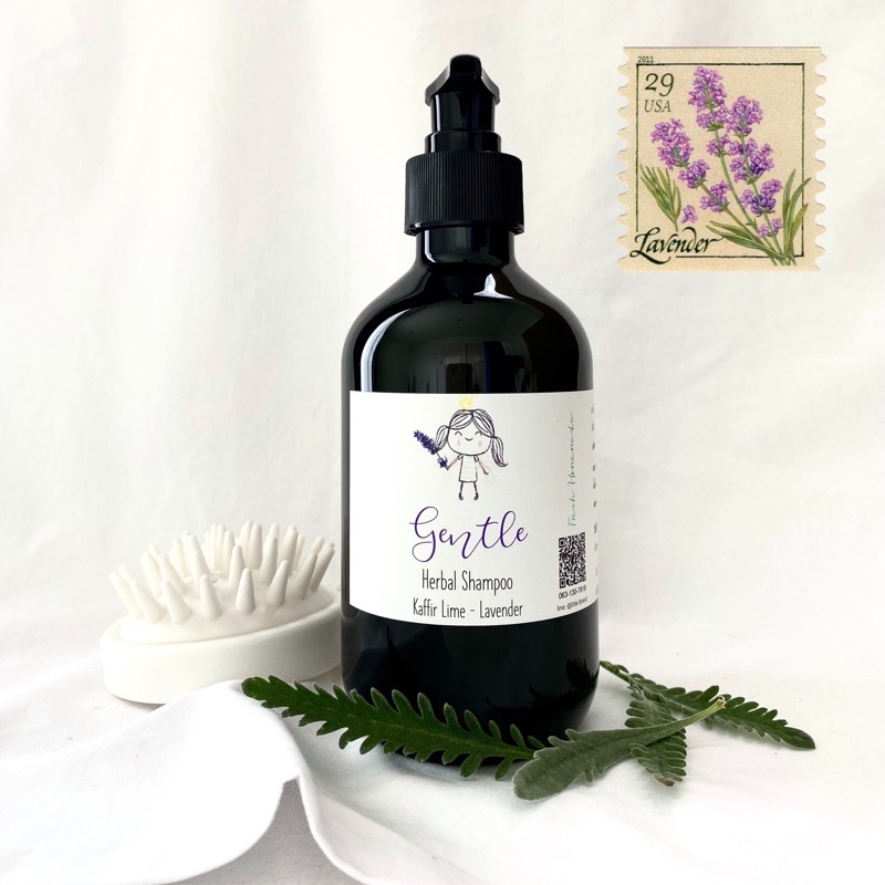 แชมพูสมุนไพร Gentle Lavender  สูตรอ่อนโยน ทำความสะอาดหนังศีรษะและเส้นผม