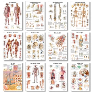 ภาพโปสเตอร์ผ้าใบ รูปโครงกระดูก สําหรับตกแต่งผนัง