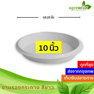 🌵 กระถางต้นไม้พลาสติก กระถางต้นไม้ สีขาว 12 นิ้ว ราคาส่ง