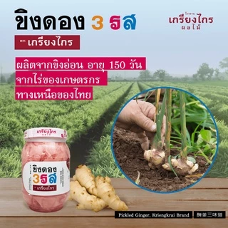 เกรียงไกรผลไม้ - ขิงดอง 3 รส มีให้เลือก 2 สูตร ผักดอง เครื่องเคียง สำหรับประกอบอาหาร และทานเล่น
