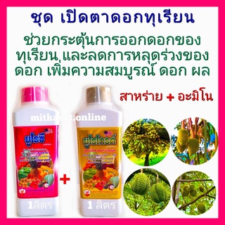 ชุด เปิดตาดอกทุเรียน กระตุ้นออกดอก สาหร่าย+อะมิโน ยูโรซี+ยูโรโกรด์ 1ลิตรช่วยให้ทุเรียนออกดอกมากขึ้น ออกดได้สม่ำเสมอขึ้น