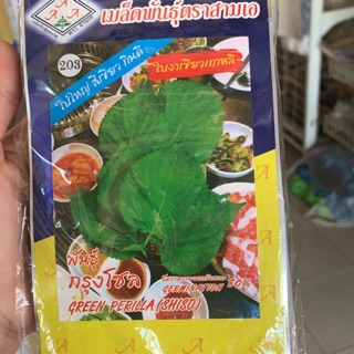 เมล็ดพันธ์ุใบงาเขียวเกาหลี (ตรา3A)น้ำหนักสุทธิ5กรัม
